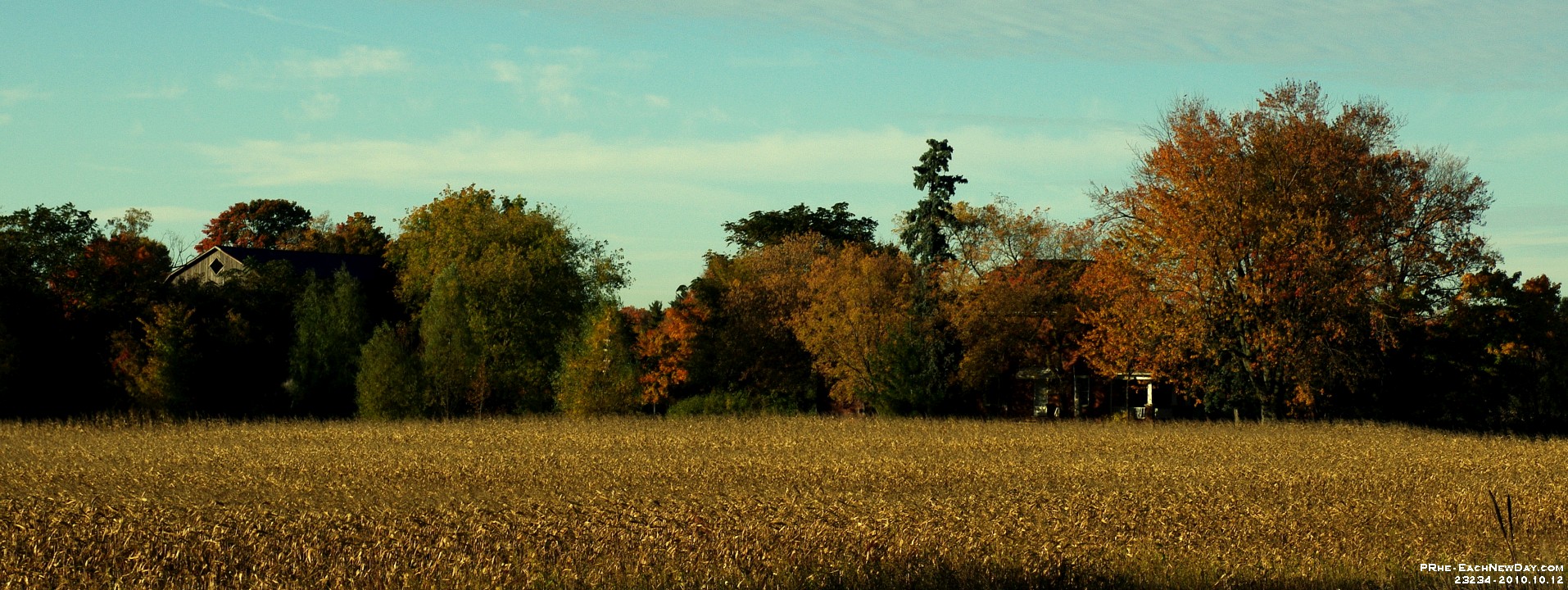 23234RoCrLeSh b - Autumn colours along Taunton Road - Steeles Avenue
